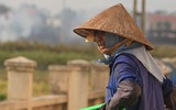 Nông dân Hà Nội phơi mình trong nắng lửa 